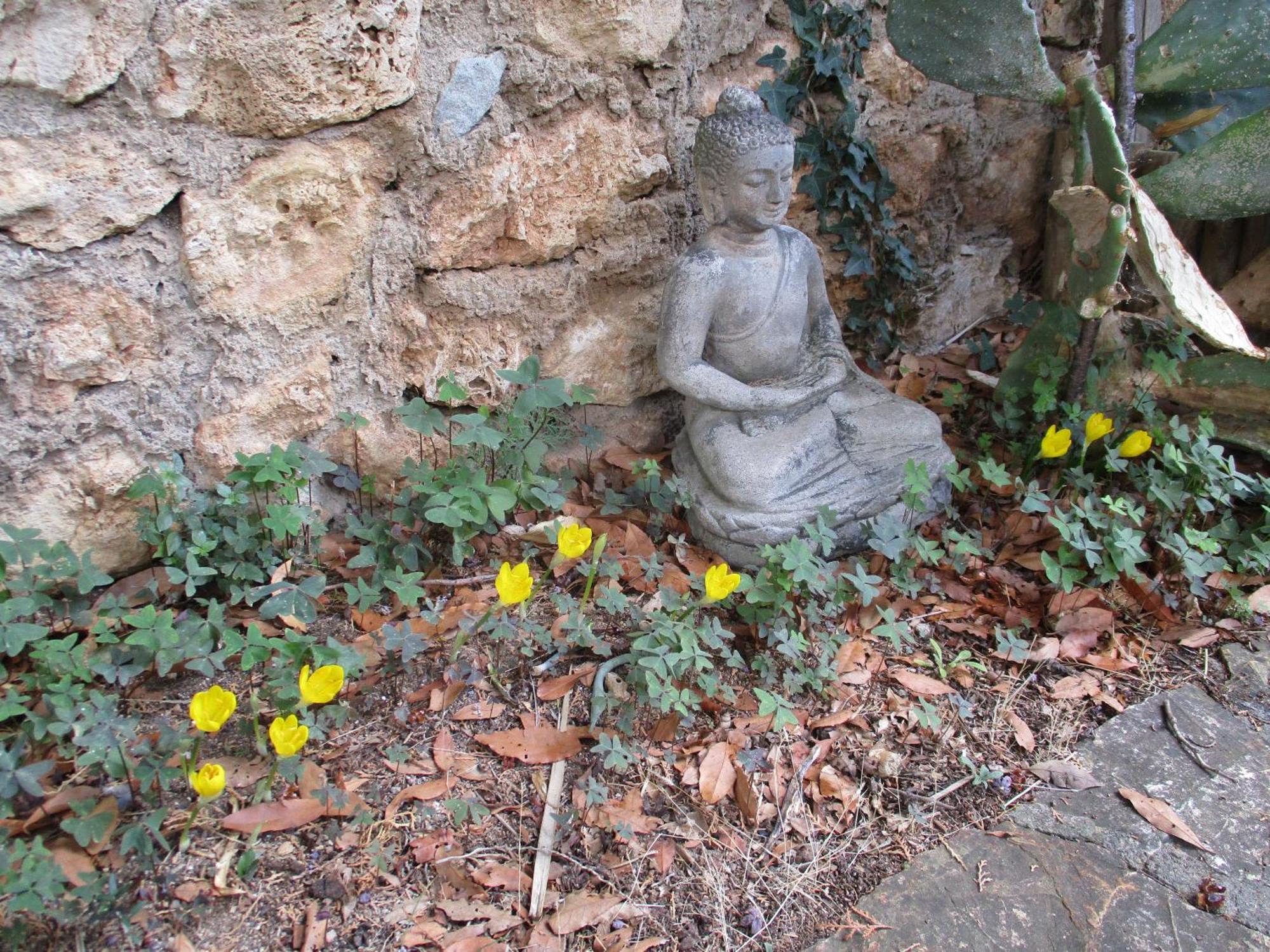Casa Alle Coste Camere In Affitto Massa Marittima Buitenkant foto